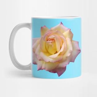 Pink Yellow Ombre Pastel Rose Flower Mug